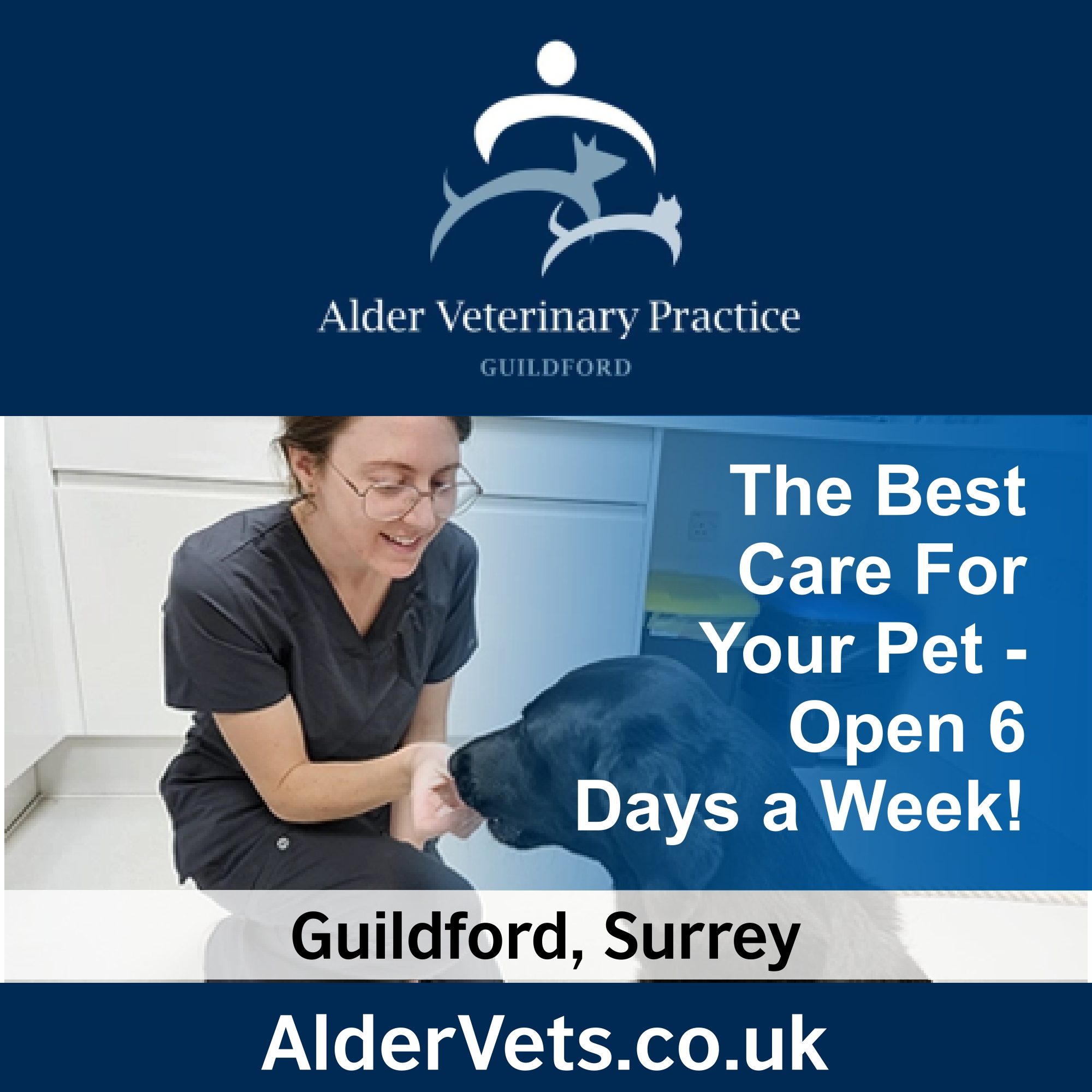 Alder Vet